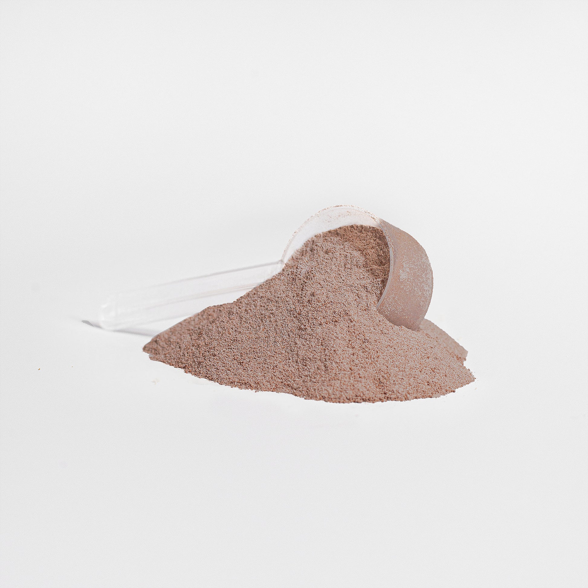 Sera Wellness Whey Protein Isolate | for Post-Workout Recovery & an Active Lifestyle | Rich Chocolate Flavor | 22g Protein