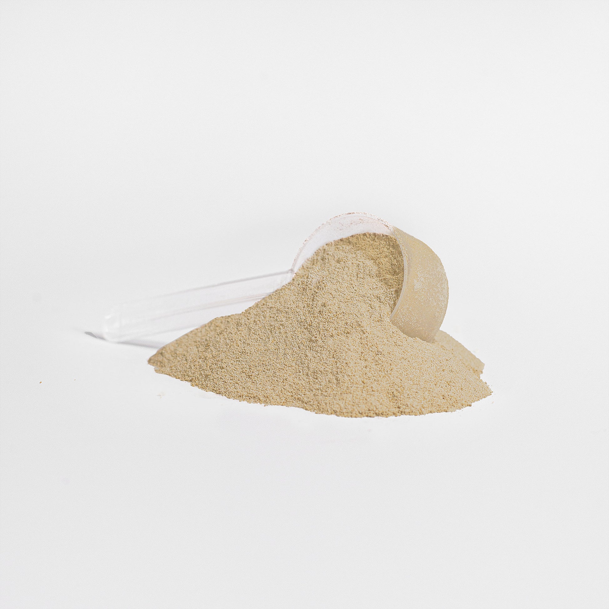 Sera Wellness Whey Protein Isolate | for Post-Workout Recovery & an Active Lifestyle | Natural Vanilla Flavor | 22g Protein